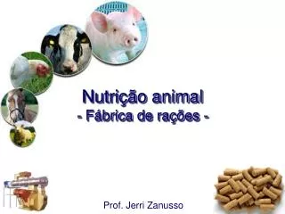 Nutrição animal - Fábrica de rações -
