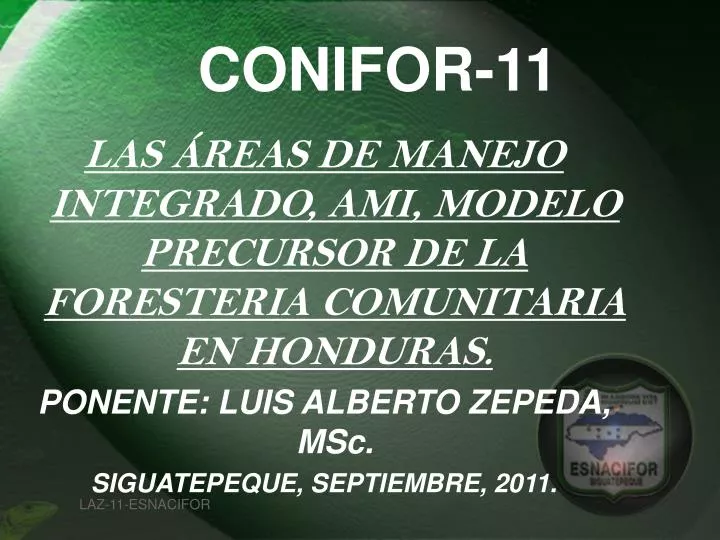 conifor 11
