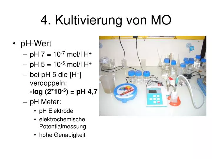 4 kultivierung von mo