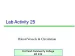 PPT - Lab Activity 21 PowerPoint Presentation, free download - ID:393805
