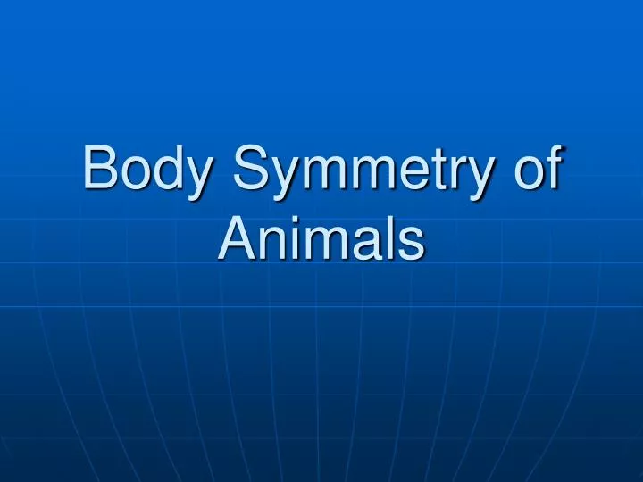 body symmetry of animals