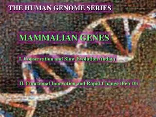 MAMMALIAN GENES