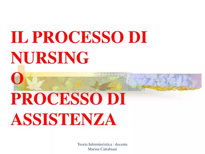 il processo di nursing o processo di assistenza