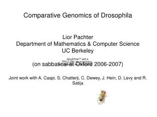 Comparative Genomics of Drosophila Lior Pachter Department of Mathematics &amp; Computer Science UC Berkeley (on sabbati