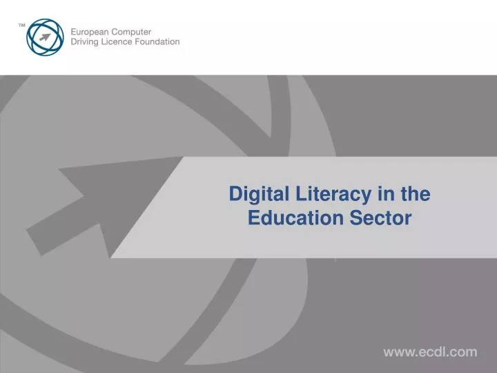 digital literacy in the education sector