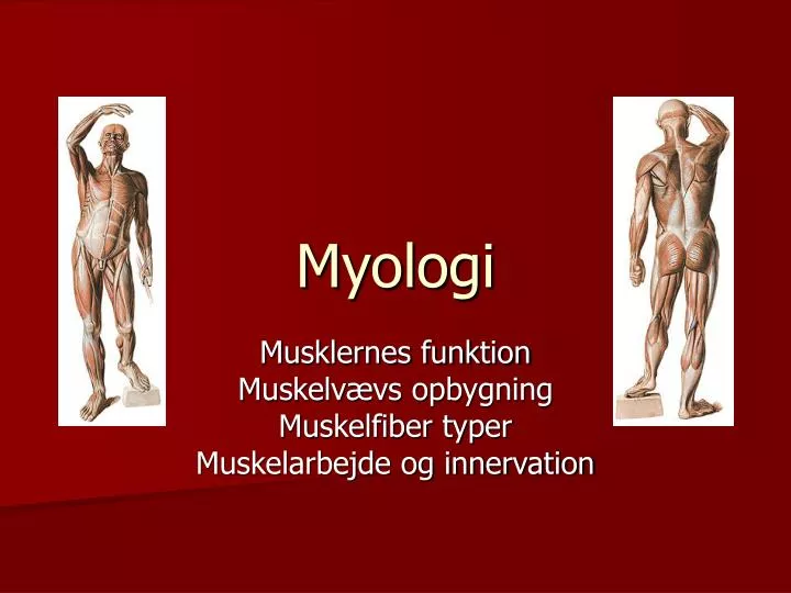 myologi