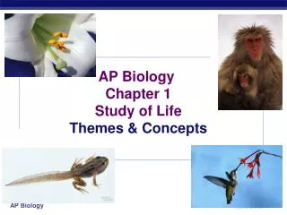 AP Biology Chapter 1 Study of Life Themes &amp; Concepts