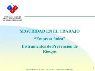 SEGURIDAD EN EL TRABAJO “Empresa única” Instrumentos de Prevención de Riesgos