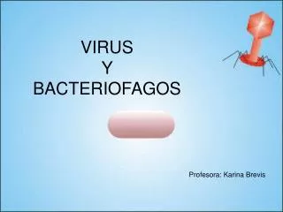 VIRUS Y BACTERIOFAGOS