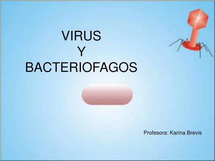 virus y bacteriofagos
