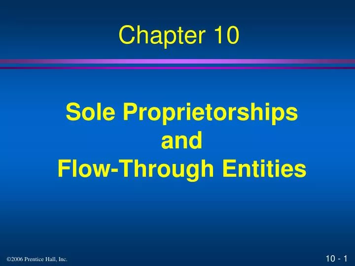 sole proprietorships and flow through entities