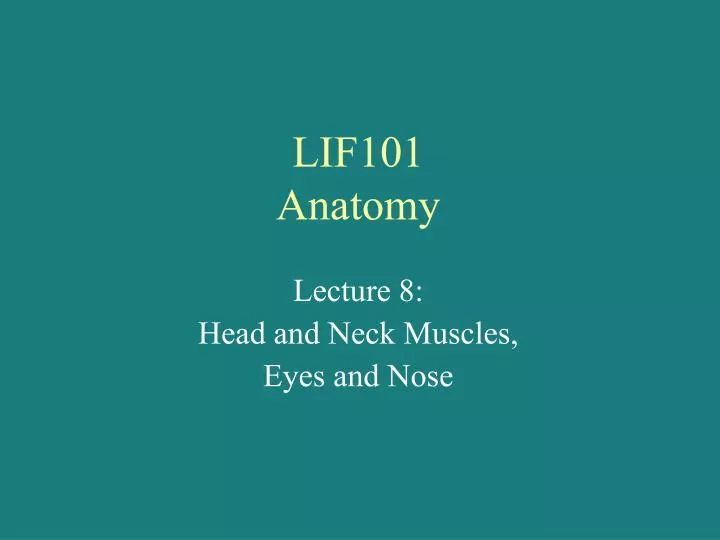 lif101 anatomy