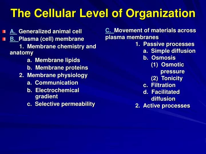 the cellular level of organization
