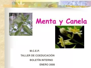 menta y canela