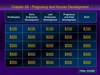 Chapter 28 - Pregnancy and Human Development