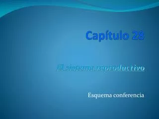 cap tulo 28