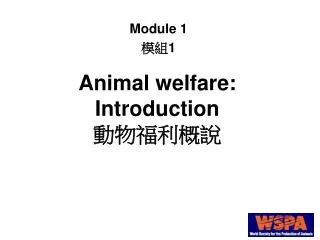 animal welfare introduction