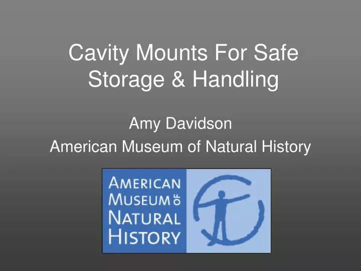 cavity mounts for safe storage handling