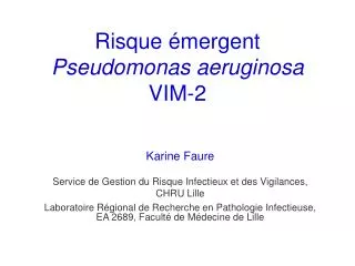 Risque émergent Pseudomonas aeruginosa VIM-2