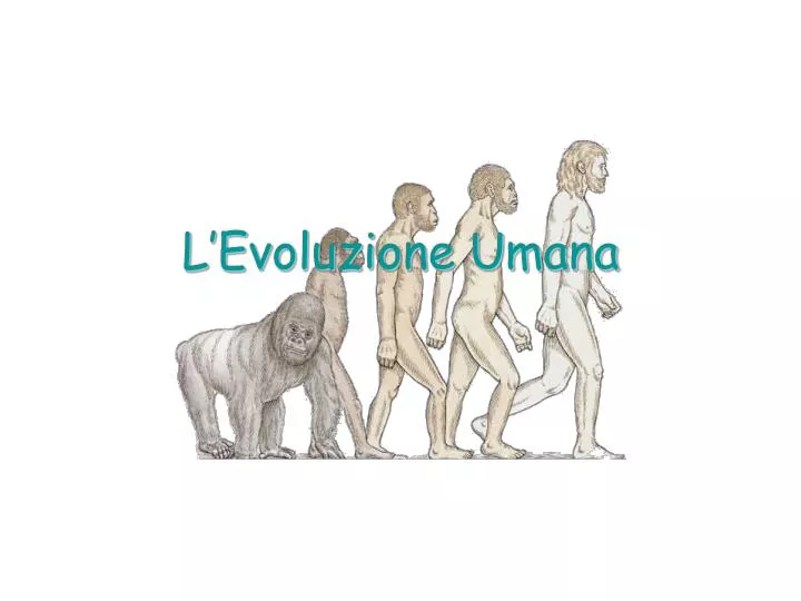 l evoluzione umana