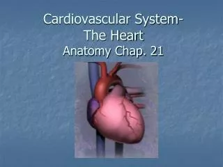 Cardiovascular System- The Heart Anatomy Chap. 21