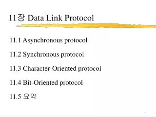 11 장 Data Link Protocol