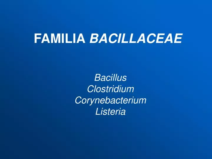 familia bacillaceae