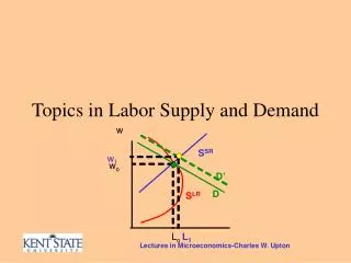 Topics in Labor Supply and Demand