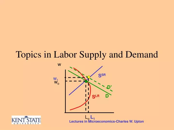 topics in labor supply and demand