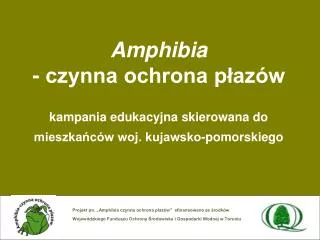 Amphibia - czynna ochrona płazów kampania edukacyjna skierowana do mieszkańców woj. kujawsko-pomorskiego
