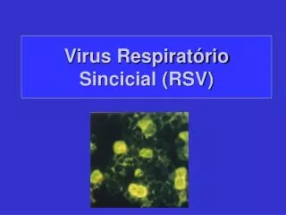 Virus Respiratório Sincicial (RSV)