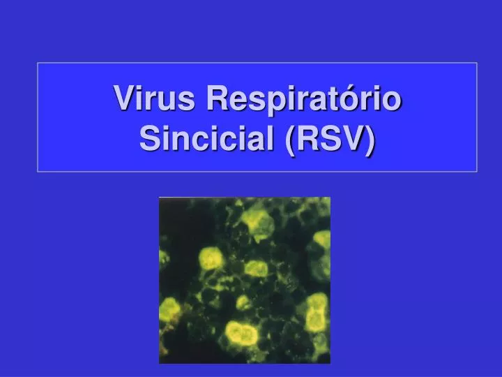 virus respirat rio sincicial rsv