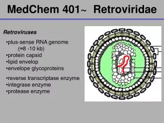 MedChem 401~ Retroviridae