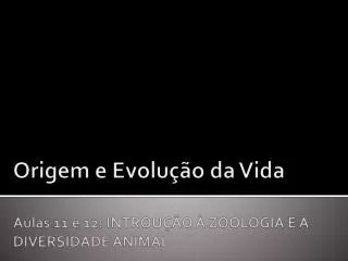 Origem e Evolução da Vida A ulas 11 e 12: INTROUÇÃO À ZOOLOGIA E À DIVERSIDADE ANIMAL