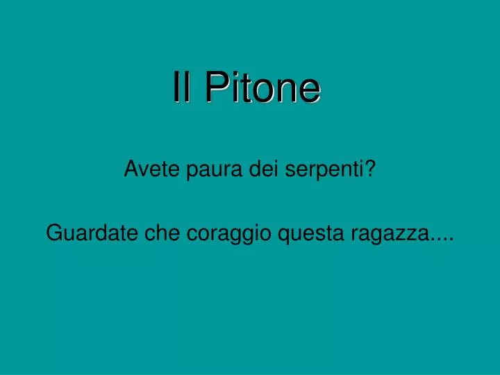 il pitone