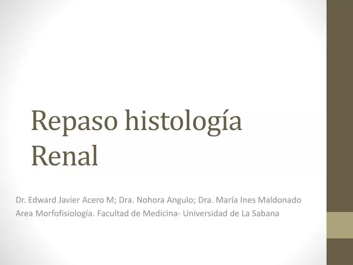 repaso histolog a renal