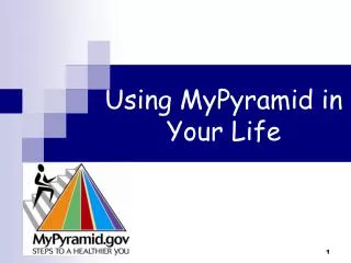 Using MyPyramid in Your Life