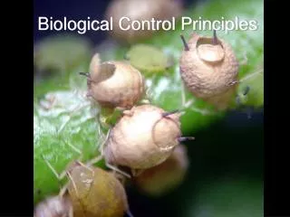 Biological Control Principles