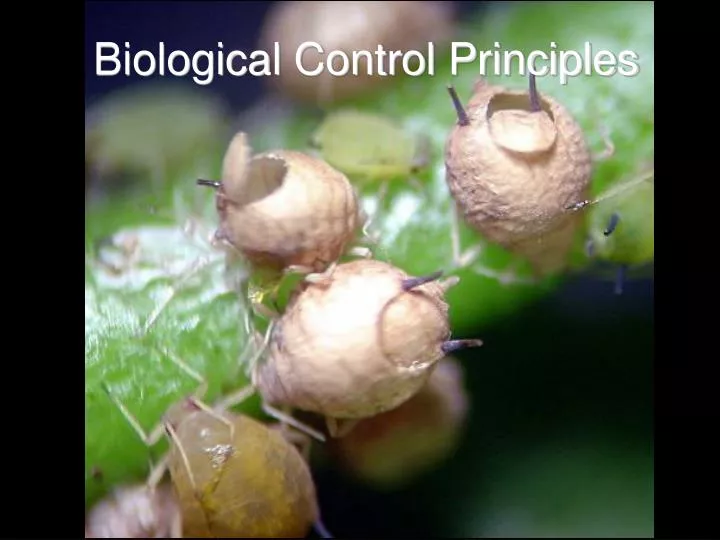 biological control principles