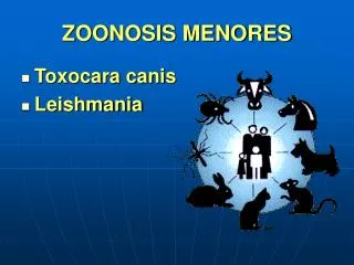 ZOONOSIS MENORES