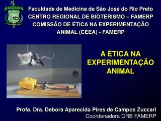 Faculdade de Medicina de São José do Rio Preto CENTRO REGIONAL DE BIOTERISMO – FAMERP COMISSÃO DE ÉTICA NA EXPERIMENTAÇÃ