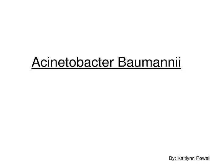 acinetobacter baumannii