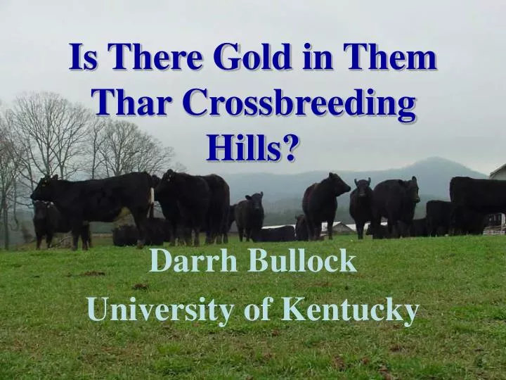is there gold in them thar crossbreeding hills