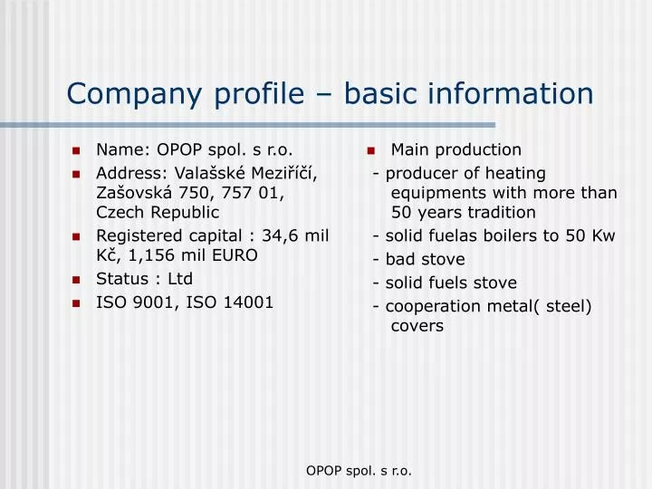 company profile basic information