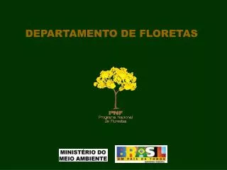 departamento de floretas