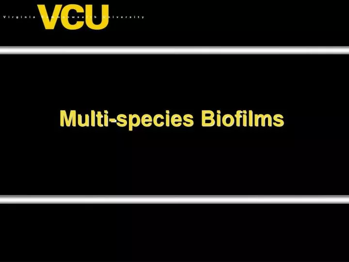 multi species biofilms
