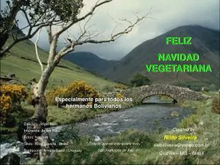 FELIZ NAVIDAD VEGETARIANA