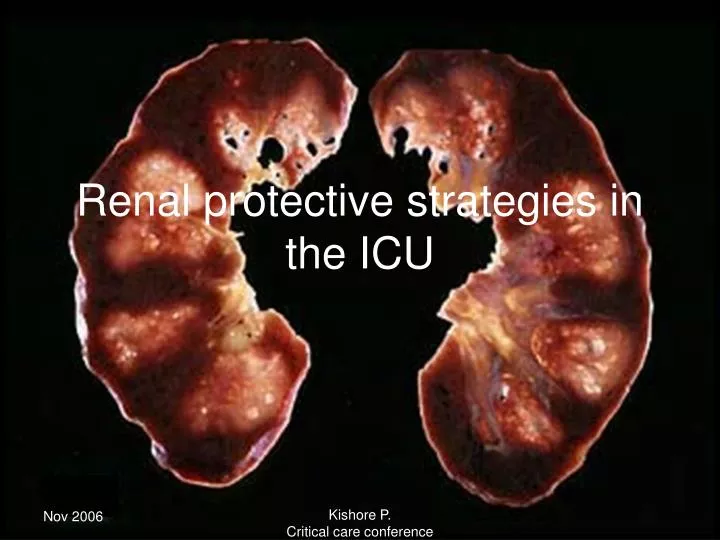 renal protective strategies in the icu