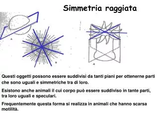 simmetria raggiata