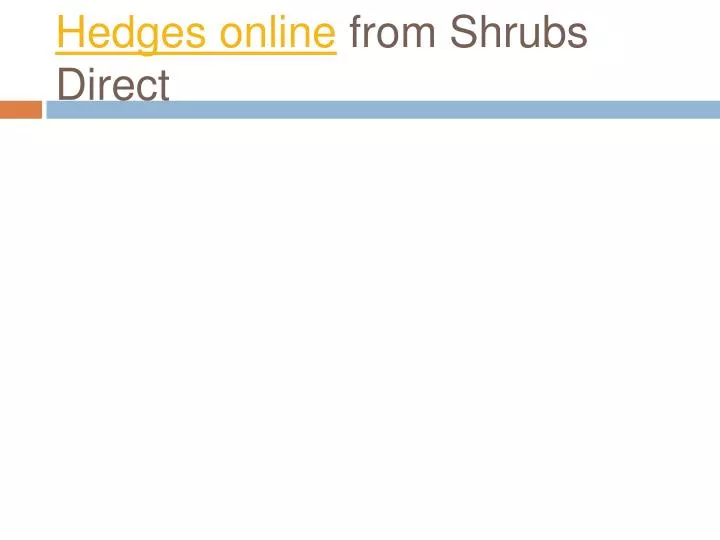 hedges online from shrubs direct